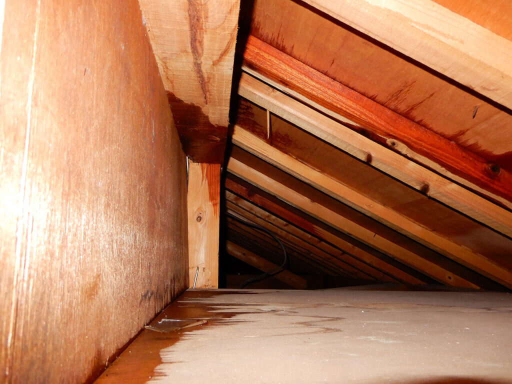 天井裏の雨漏り